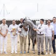 D Shihanah - Junior Female Gold Champion