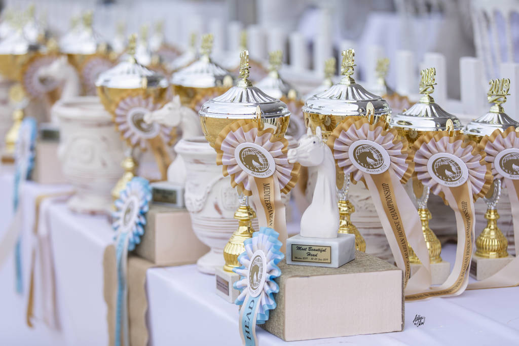 Menton Arabian Horse Show 2019