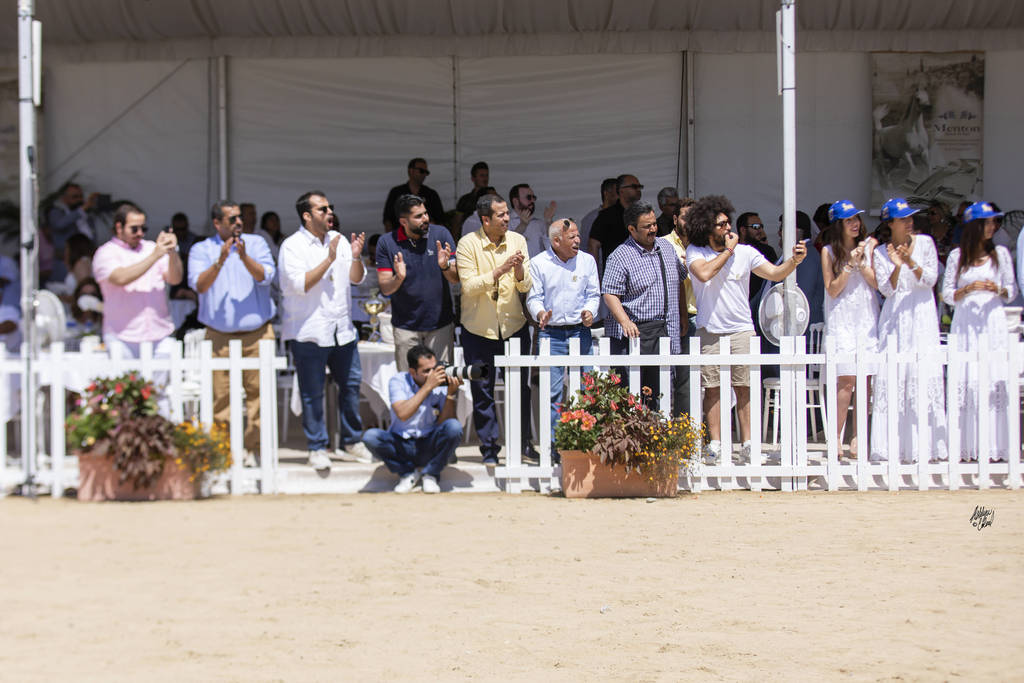 Menton Arabian Horse Show 2019