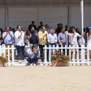 Menton Arabian Horse Show 2019