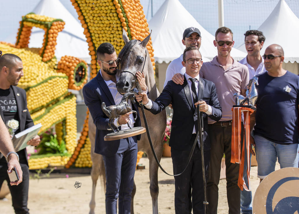 Algamra - Junior Female Bronze Champion