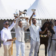 D Mezyan - Yearling Male Gold Champion