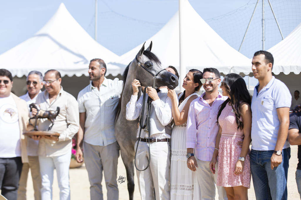 D Shihanah - Junior Female Gold Champion