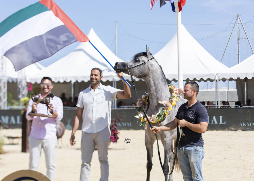 D Shihanah - Junior Female Gold Champion