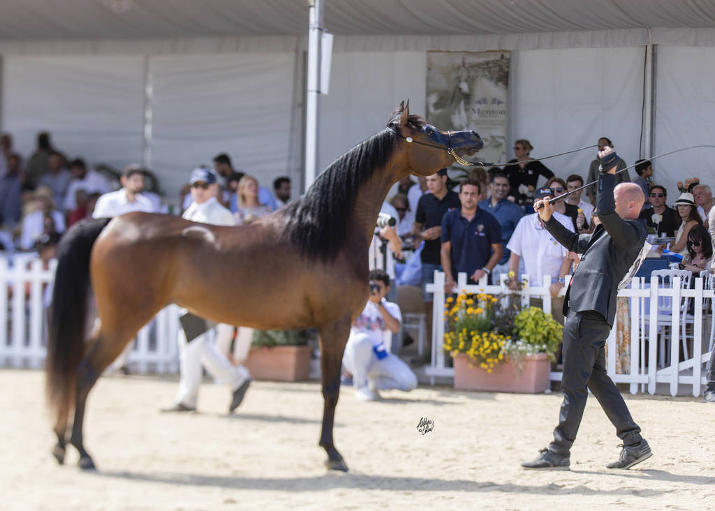 Eralda - Junior Female Silver Champion