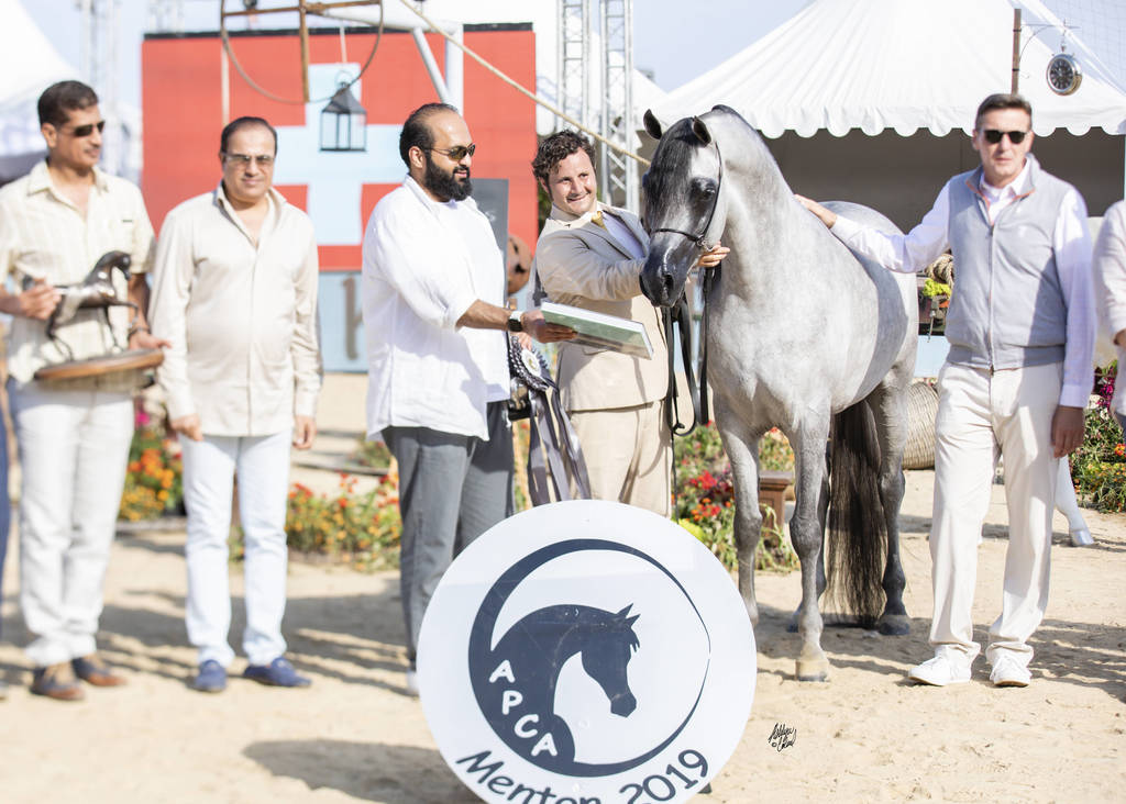 Figaro - Junior Male Silver Champion