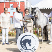 Figaro - Junior Male Silver Champion