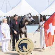 Hl El Ganador - Junior Male Gold Champion