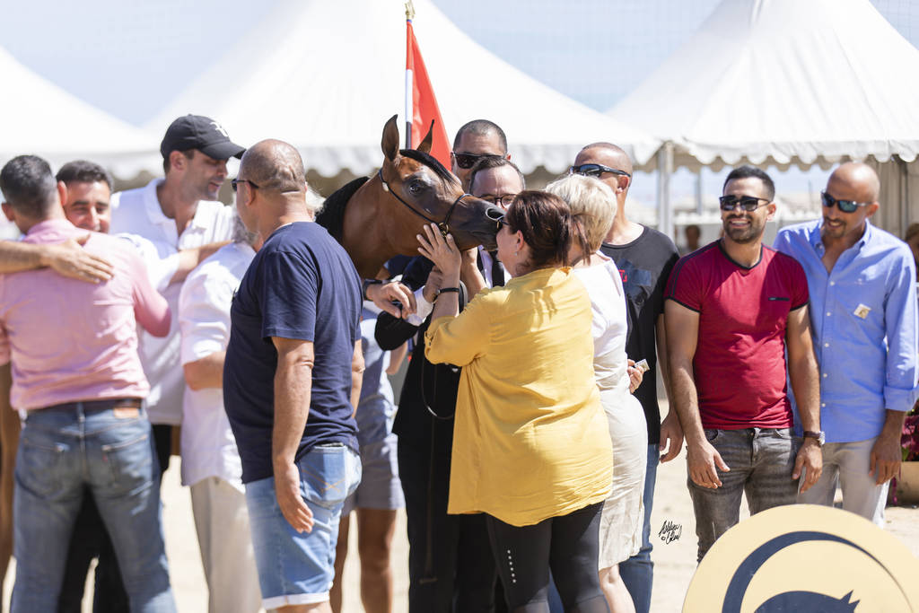 My Vision AA - Yearling Female Gold Champion