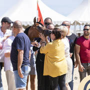 My Vision AA - Yearling Female Gold Champion