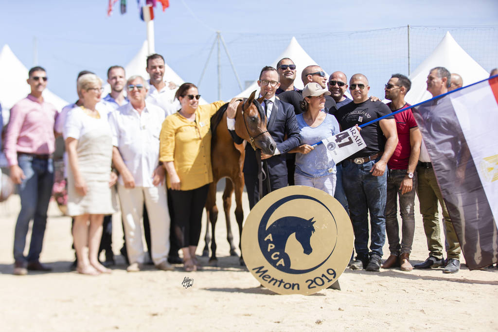 My Vision AA - Yearling Female Gold Champion