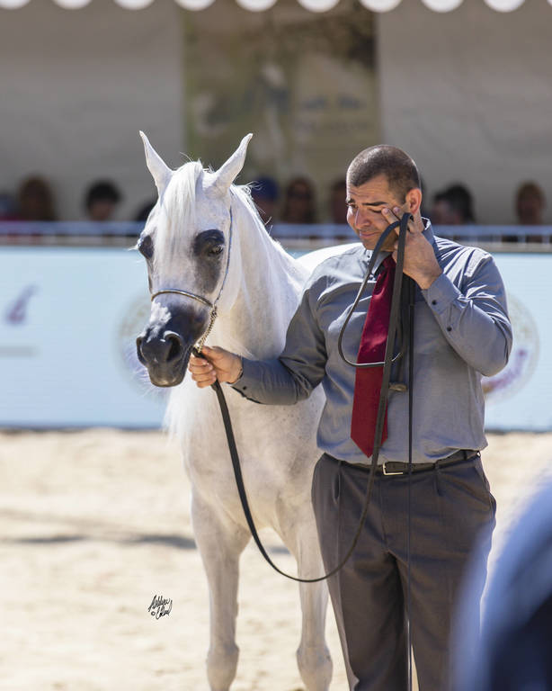 Noft Al Nayfat - Senior Female Gold Champion