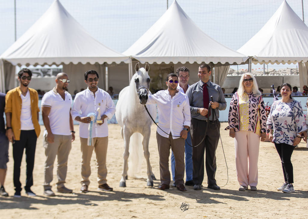 Noft Al Nayfat - Senior Female Gold Champion