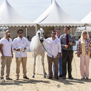 Noft Al Nayfat - Senior Female Gold Champion