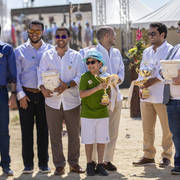 Menton Arabian Horse Show 2019