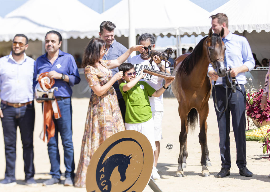 Menton Arabian Horse Show 2019