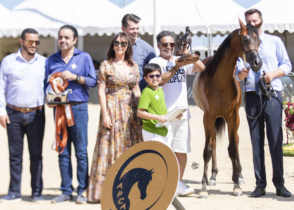 Menton Arabian Horse Show 2019