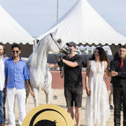 Shanghai Ea - Senior Male Gold Champion