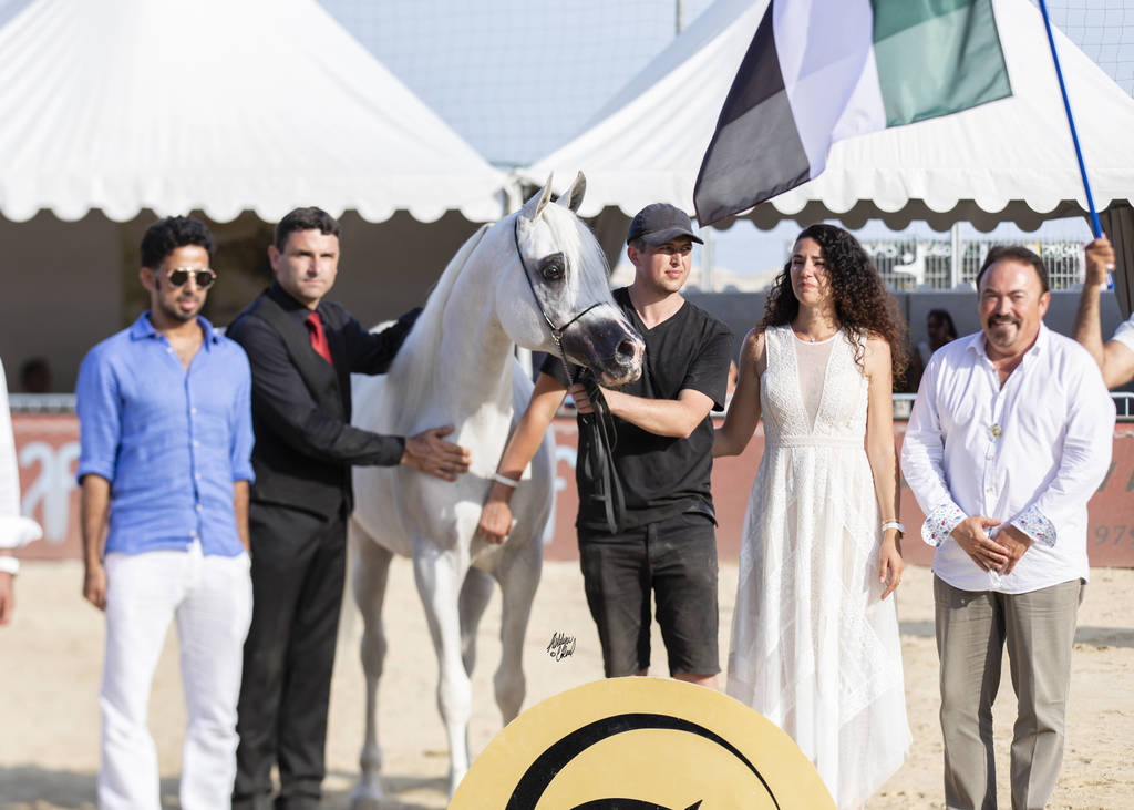 Shanghai Ea - Senior Male Gold Champion