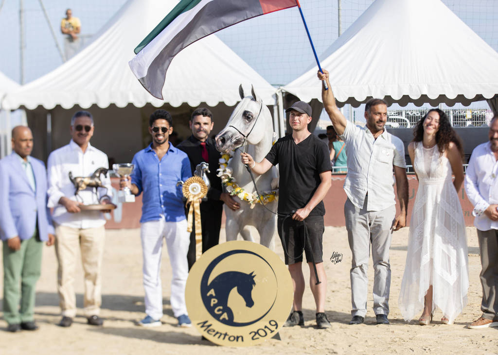 Shanghai Ea - Senior Male Gold Champion