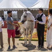 Menton Arabian Horse Show 2019