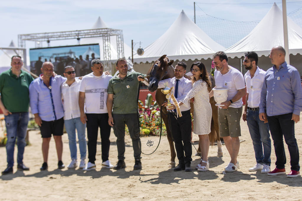 Menton Arabian Horse Show 2019
