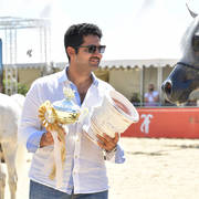 Senior Stallion Silver Champion: EKS Mansour (EKS Alihandro X EKS Phateena)