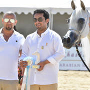 Senior Mare Gold Champion: Noft Al Nayfat (Ajman Moniscione X Eagleridge Passionata) 