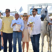 Senior Mare Silver Champion: Baviera HVP (Marwan Al Shaqab x HB Bessolea) 