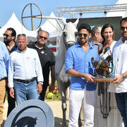 Senior Mare Silver Champion: Baviera HVP (Marwan Al Shaqab x HB Bessolea) 