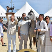 Junior Filly Gold Champion: D Shihanah (FA El Rasheem X D Shahla) 