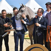 Junior Filly Bronze Champion: Algamra (AJ Portofino X AVA Maryia) 