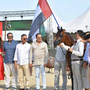 Yearling Colt Gold Champion: D Mezyan (FA El Rasheem X D Mazaia) 