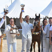 Yearling Colt Gold Champion: D Mezyan (FA El Rasheem X D Mazaia) 