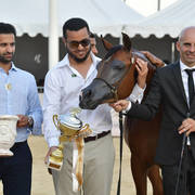 Yearling Colt Bronze Champion: Dosar Alsayed (Validoro X Delight’s Diva RB) 