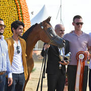 Yearling Colt Bronze Champion: Dosar Alsayed (Validoro X Delight’s Diva RB) 