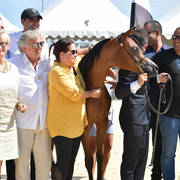 Yearling Filly Gold Champion: My Vision AA (Jyar Meia LUA X The Vision MG)