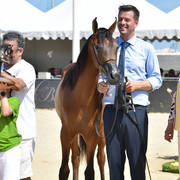 Yearling Filly Bronze Champion: Royal Asselah (Royal Asad X R Arabella)