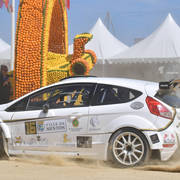 The 2019 Mediterranean & Arab Countries Arabian Horse Championship: MENTON!    