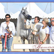 The 2019 Mediterranean & Arab Countries Arabian Horse Championship: MENTON!    