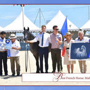 The 2019 Mediterranean & Arab Countries Arabian Horse Championship: MENTON!    