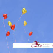 The 2019 Mediterranean & Arab Countries Arabian Horse Championship: MENTON!    