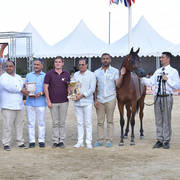 Colts 2 Years Old: D Jari 