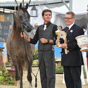 Colts 2 Years Old: Shareem RC 