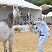 Fillies 2 Years Old: D Showf 