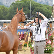 Yearling Filly: D A'Asaleyyah