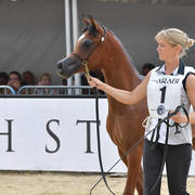 Yearling Filly: Wedad Al Walid 