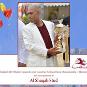 The 2019 Mediterranean & Arab Countries Arabian Horse Championship: MENTON!    