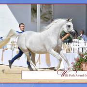 The 2019 Mediterranean & Arab Countries Arabian Horse Championship: MENTON!    