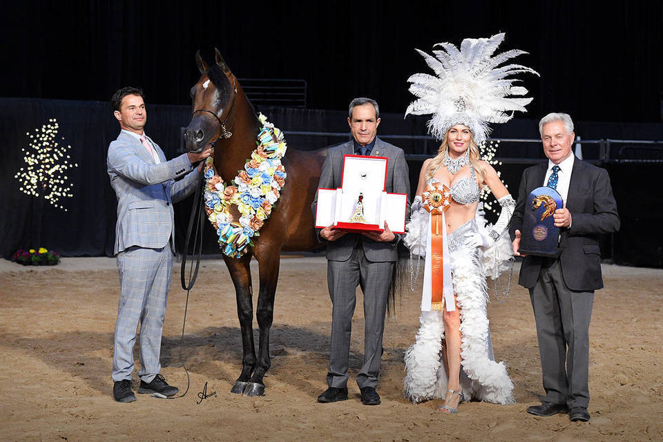 Arabian Breeders World Cup